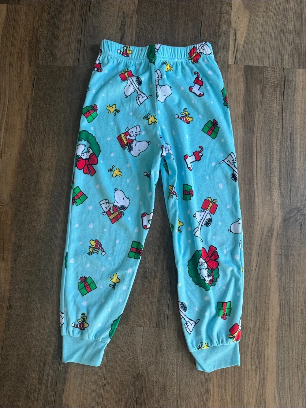 Peanuts Jammies for your Families two piece sleep set